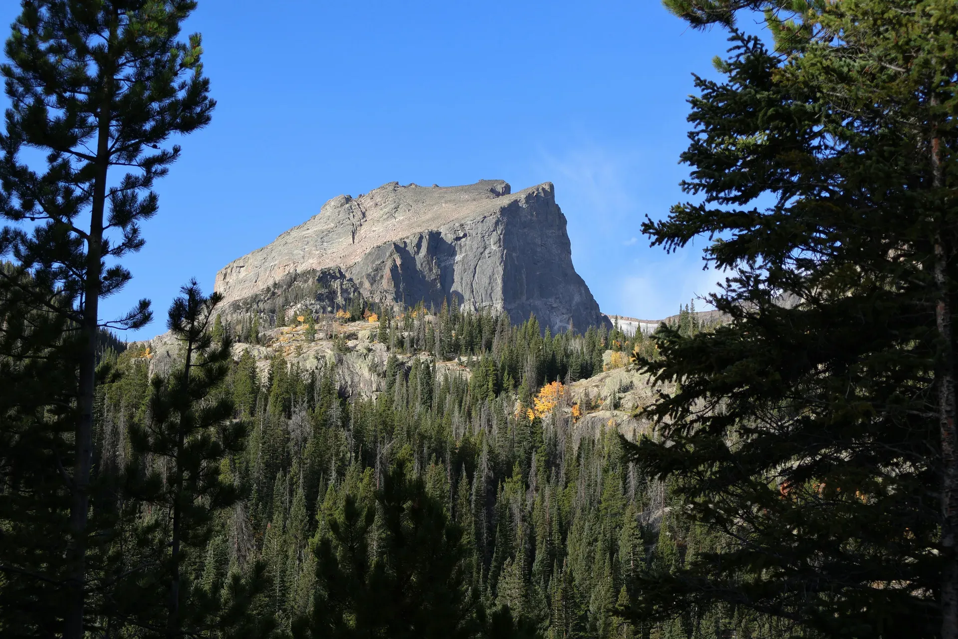 Rocky Mountain